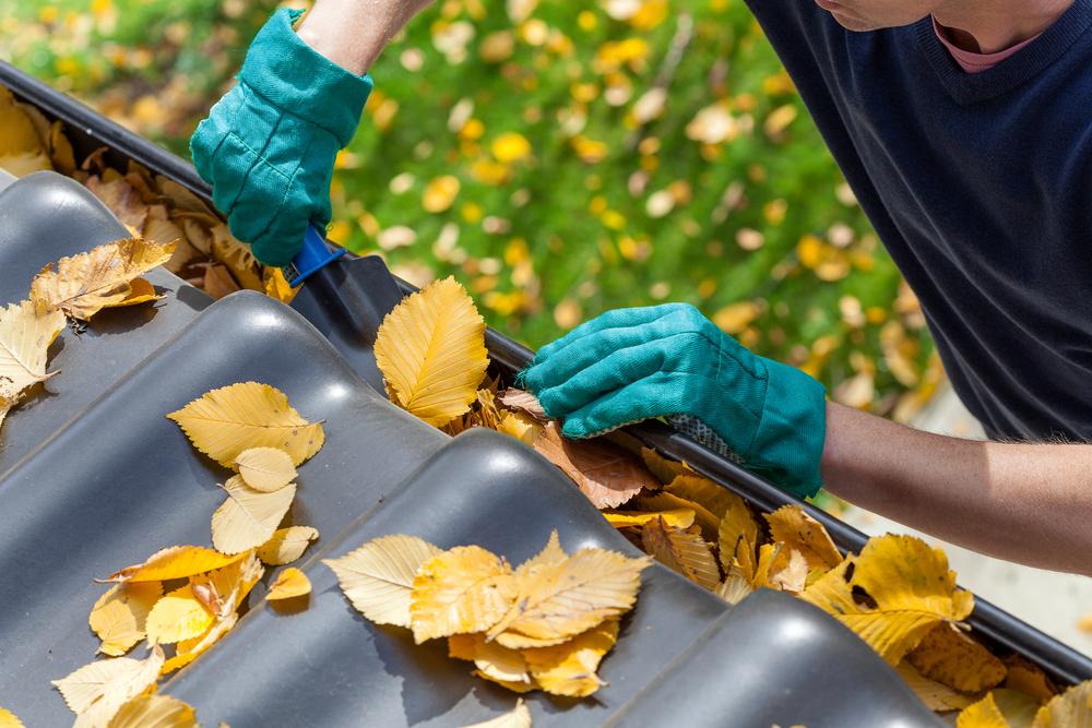 Seasonal Maintenance Matters