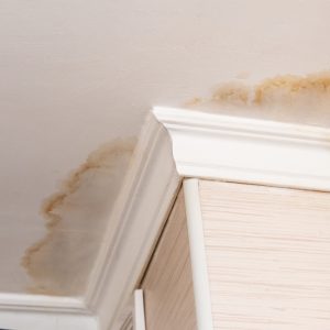 Water Stains on Ceilings
